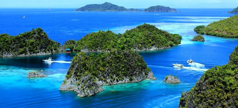 ady_fauzan-piaynemo-2614341_1280