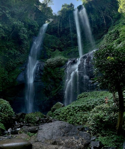 maxim-romanyuk-Mece81fY8mk-unsplash